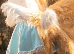 花兮_honoka的私拍，冬雪沁香，图包外又会飞来什么有趣的小灵魂？